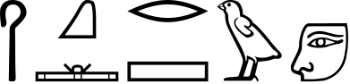 HqA q:Y1 r:S w D19-