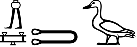 W25:N31-T-zA