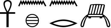 anx n:x n:r Aw