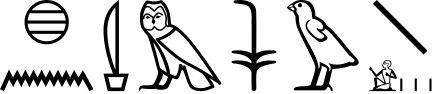 x:n nm m sw w-Ff203:A1*Z2