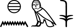 x:n m sw