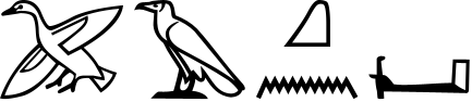 pA A q:n D40
